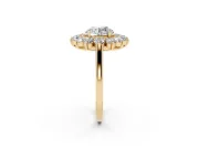 Round Floral Double Halo Engagement Ring Setting | Plain Band | Yellow Gold