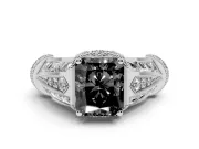 Fancy Black Radiant Cut Diamond Vintage-Inspired Milgrain Ring Set in Platinum with Accent Split Shank