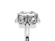 Asscher Cut Scalloped Petal Halo Engagement Ring Setting | Plain Band | Platinum