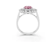 Round Floral Double Halo Engagement Ring Setting for a Fancy Pink Lab-Grown Diamond | Plain Band | White Gold