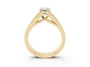 Emerald Cut Channel-Set Engagement Ring Setting | Princess Side Stones | Yellow Gold