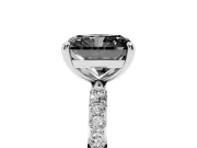 Fancy Black Radiant Cut Diamond Solitaire Ring Set in Platinum with Round Pavé Band and Prong Setting