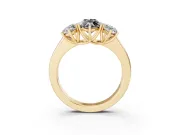 Fancy Black Three-Stone Marquise Cut Diamond Ring Set in Yellow gold with Matching Prong Settings and Plain Band
