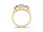 Emerald Cut Diamond Three-Stone Ring Set in Yellow gold with Round Accent Stones and Plain Band