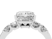 Princess Cut Diamond Five-Stone Prong Set Engagement Ring Set in White gold with Channel Band