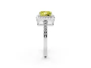 Fancy Yellow Princess Cut Diamond Pavé Band Halo Engagement Ring Set in Platinum with Prong Setting