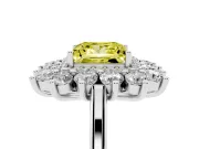 Princess Cut Floral Double Halo Engagement Ring Setting for a Fancy Yellow Lab-Grown Diamond | Plain Band | Platinum