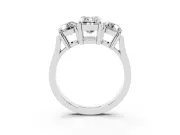 Emerald Cut Diamond Three-Stone Ring Set in White gold with Round Accent Stones and Plain Band