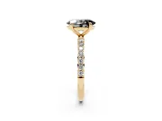 Fancy Black Oval Cut Diamond Solitaire Ring Set in Yellow gold with Round Pavé Band and Prong Setting