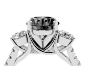 Fancy Black Three-Stone Round Cut Diamond Pavé Band Ring Set in White gold with Prong-Set Trio