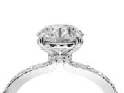 Round Hidden Halo Engagement Ring Setting | Platinum