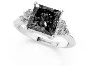 Princess Cut Cluster Accent Engagement Ring Setting for a Black Center | Plain Band | Platinum
