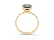 Asscher Cut Pavé Solitaire Engagement Ring Setting for a Black Center | Slim Band | Yellow Gold