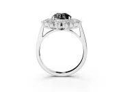 Round Floral Double Halo Engagement Ring Setting for a Black Center | Plain Band | Sterling Silver