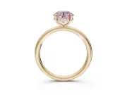Round Hidden Halo Ring Setting for a Fancy Pink Lab-Grown Diamond | Yellow Gold