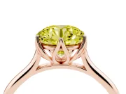 Round Cathedral Solitaire Engagement Ring Setting for a Fancy Yellow Lab-Grown Diamond | Tulip Gallery | Rose Gold