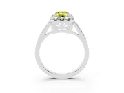 Fancy Yellow Emerald Cut Diamond Floral Halo Ring Set in Silver with Pavé Band and Prong Setting