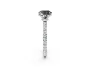 Round Hidden Halo Solitaire Engagement Ring Setting for a Black Center | Pavé Band | Platinum
