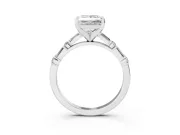 Princess Cut Diamond Solitaire Set in Platinum with Side Baguettes and Channel Set Band