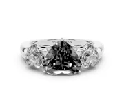 Fancy Black Heart Cut Diamond Three-Stone Ring Set in White gold with Bold Center and Classic Band
