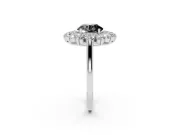 Round Floral Double Halo Engagement Ring Setting for a Black Center | Plain Band | Platinum