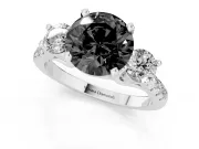 Fancy Black Three-Stone Round Cut Diamond Pavé Band Ring Set in Silver with Prong-Set Trio