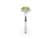 Heart-Shaped Petal Halo Engagement Ring Setting for a Fancy Yellow Lab-Grown Diamond | Platinum