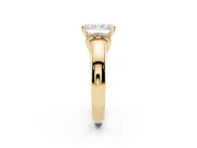 Radiant Cut Pavé Collar Solitaire Engagement Ring Setting | Wide Polished Band | Yellow Gold