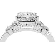 Princess Cut Petal Accent Engagement Ring Setting | Marquise and Round Sides | White Gold