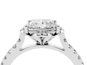 Princess Cut Floral Petal Engagement Ring Setting | Petal Accents | White Gold