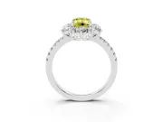 Fancy Yellow Emerald Cut Diamond Floral Halo Ring Set in Silver with Round Pavé Band and Prong Setting