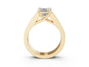 Asscher Cut Channel-Set Engagement Ring Setting | Princess Side Stones | Yellow Gold