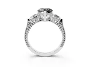 Fancy Black Heart Cut Diamond Three-Stone Ring Set in Platinum with Milgrain Band