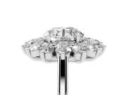 Round Floral Double Halo Engagement Ring Setting | Plain Band | Platinum