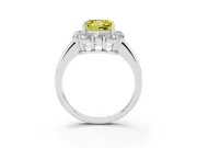 Princess Cut Graduated Milgrain Halo Engagement Ring Setting for a Fancy Yellow Lab-Grown Diamond | White Gold