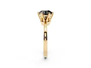 Fancy Black Round Cut Diamond Solitaire Engagement Ring Set in Yellow gold with Slim Tapered Solitaire Band