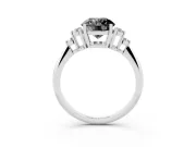 Round Cluster Accent Engagement Ring Setting for a Black Center | Plain Band | Platinum