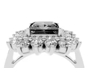 Princess Cut Floral Double Halo Engagement Ring Setting for a Black Center | Plain Band | Platinum