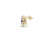 Oval Lab-Grown Diamond Nature Stud Earrings | Marquise Leaves | Yellow Gold
