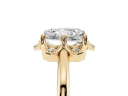 Radiant Cut Scalloped Petal Halo Engagement Ring Setting | Plain Band | Yellow Gold