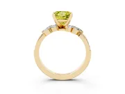 Princess Cut Floral Engagement Ring Setting for a Fancy Yellow Lab-Grown Diamond | Marquise Side Stones | Yellow Gold