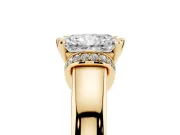 Radiant Cut Pavé Collar Solitaire Engagement Ring Setting | Wide Polished Band | Yellow Gold