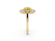 Round Floral Double Halo Engagement Ring Setting for a Fancy Yellow Lab-Grown Diamond | Plain Band | Yellow Gold