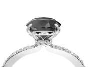 Round Hidden Halo Solitaire Engagement Ring Setting for a Black Center | Pavé Band | Platinum