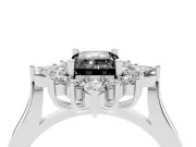 Emerald Cut Cluster Halo Engagement Ring Setting for a Black Center | Platinum
