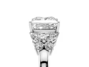 Princess Cut Petal Accent Engagement Ring Setting | Marquise and Round Sides | White Gold