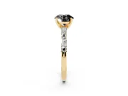 Fancy Black Round Cut Diamond Solitaire Set in Yellow gold with Side Baguettes and Channel Set Band