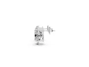 Oval Lab-Grown Diamond Nature Stud Earrings | Marquise Leaves | White Gold