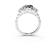 Fancy Black Heart Cut Diamond Three-Stone Ring Set in Silver with Pavé Band