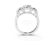 Round Three Stone Engagement Ring Setting | Round Side Stones and Open Baskets | White Gold